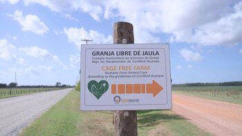 Ovobrand is advancing in its commitment