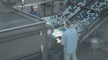 Innovative project of Ovobrand