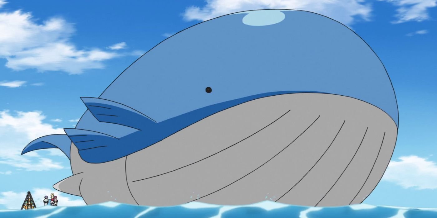Waylord surfs in the Pokemon anime