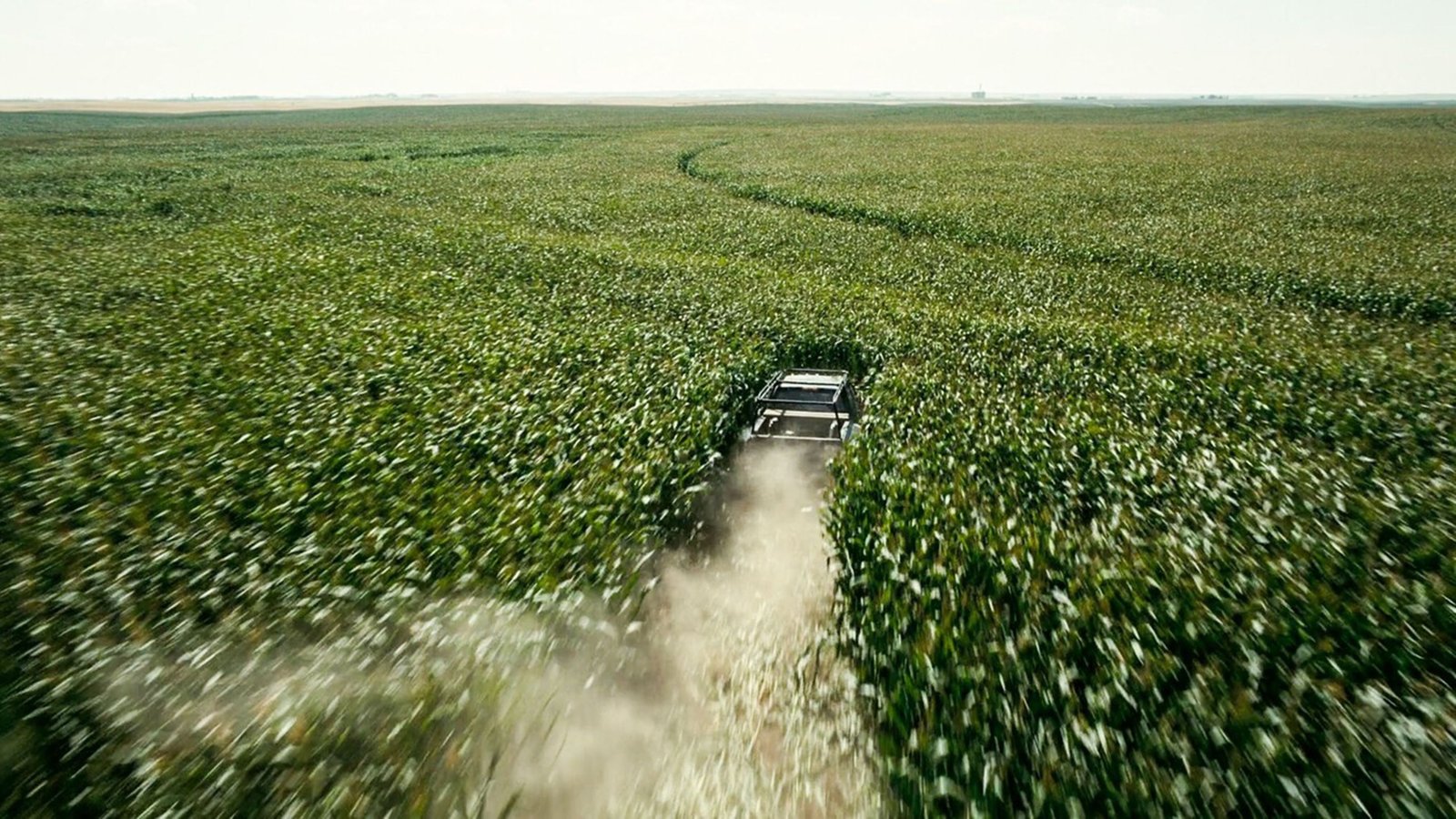 The cornfield scene in Interstellar