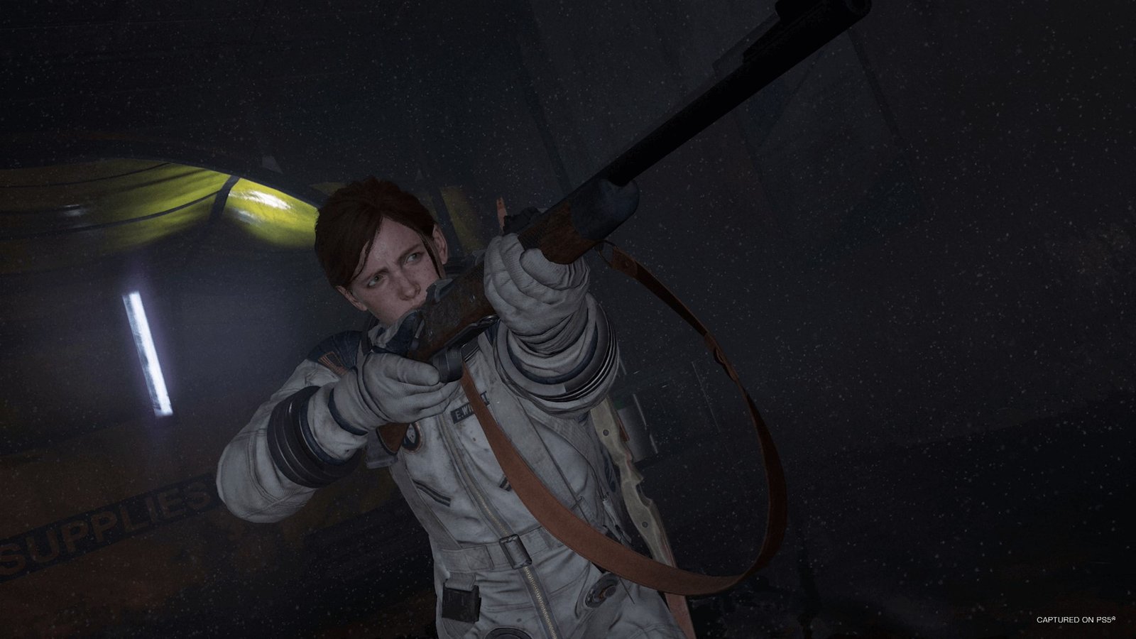 The Last of Us Part II Remastered
