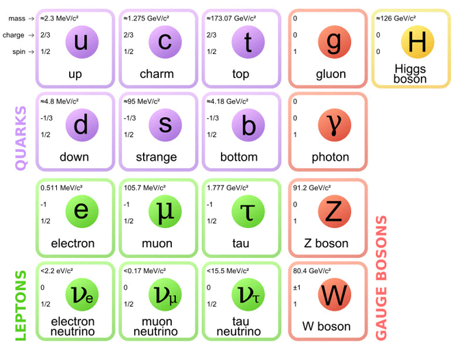 Physics Prize for mysterious transformate: Neutrino