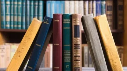 Book of the Addiction period recommended by experts