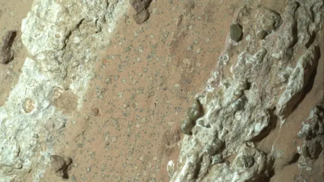Image made on the surface of Mars showing a large red granulated rock with unusual pale points surrounded by a black contour that looks like leopard spots