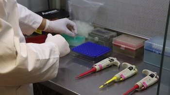 Analysis of 344 residues