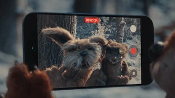 Raccoon, bear, rat, owl, squirrel,