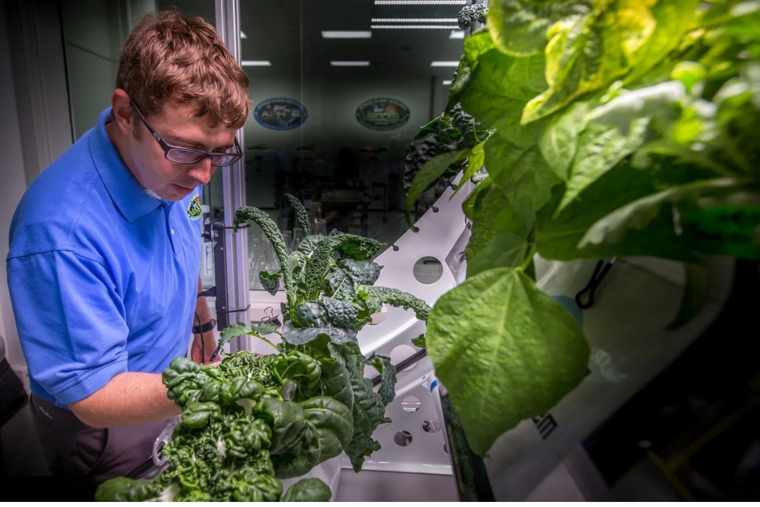 It takes more than rockets to become a multiplanetary species. Scientists are preparing crops capable of producing food, oxygen and medicine in deep space