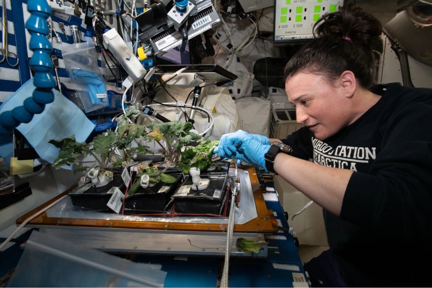 It takes more than rockets to become a multiplanetary species. Scientists are preparing crops capable of producing food, oxygen and medicine in deep space