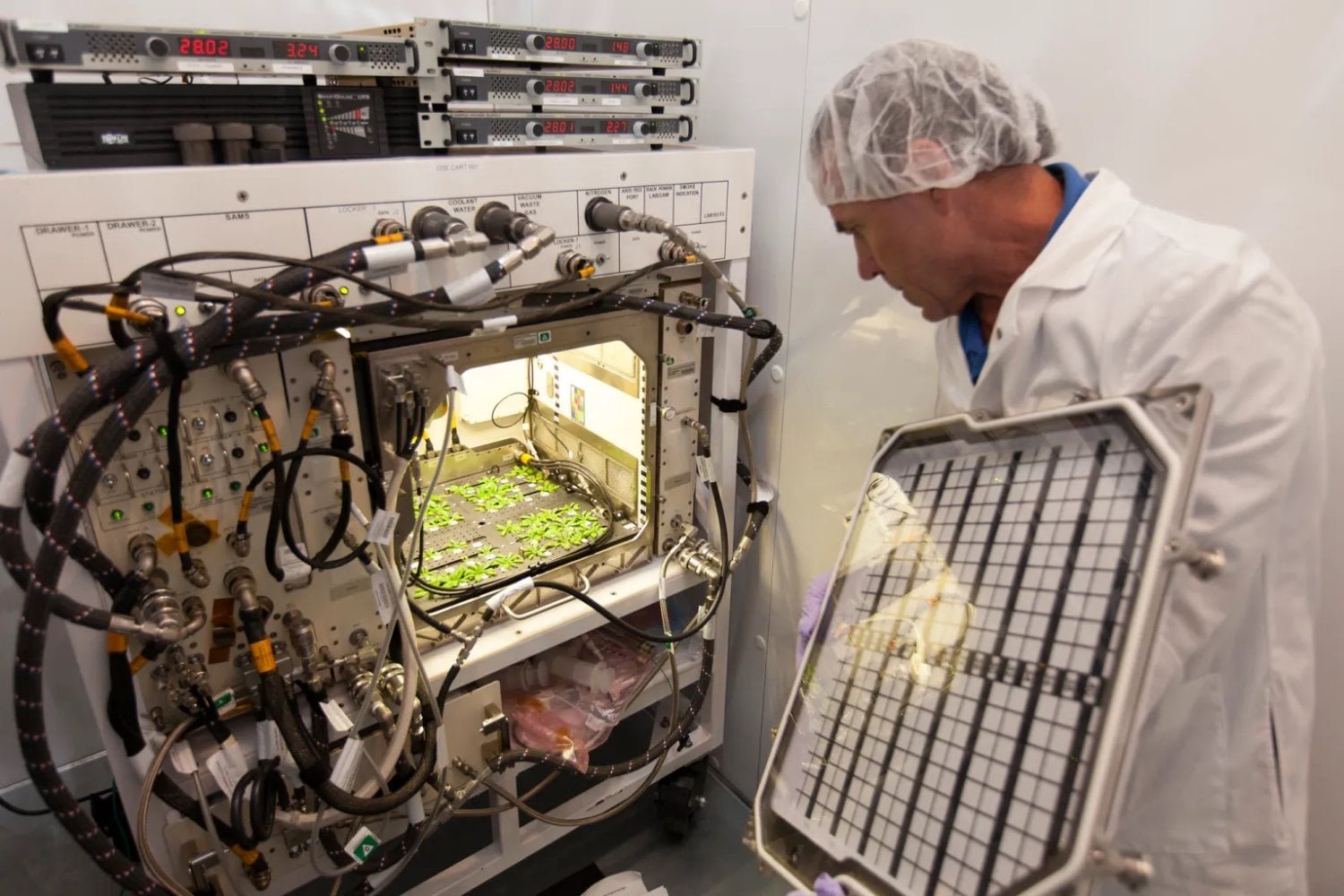 It takes more than rockets to become a multiplanetary species. Scientists are preparing crops capable of producing food, oxygen and medicine in deep space