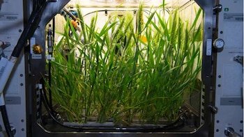 Researchers are developing advanced systems for
