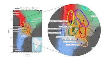 The study of ancient DNA