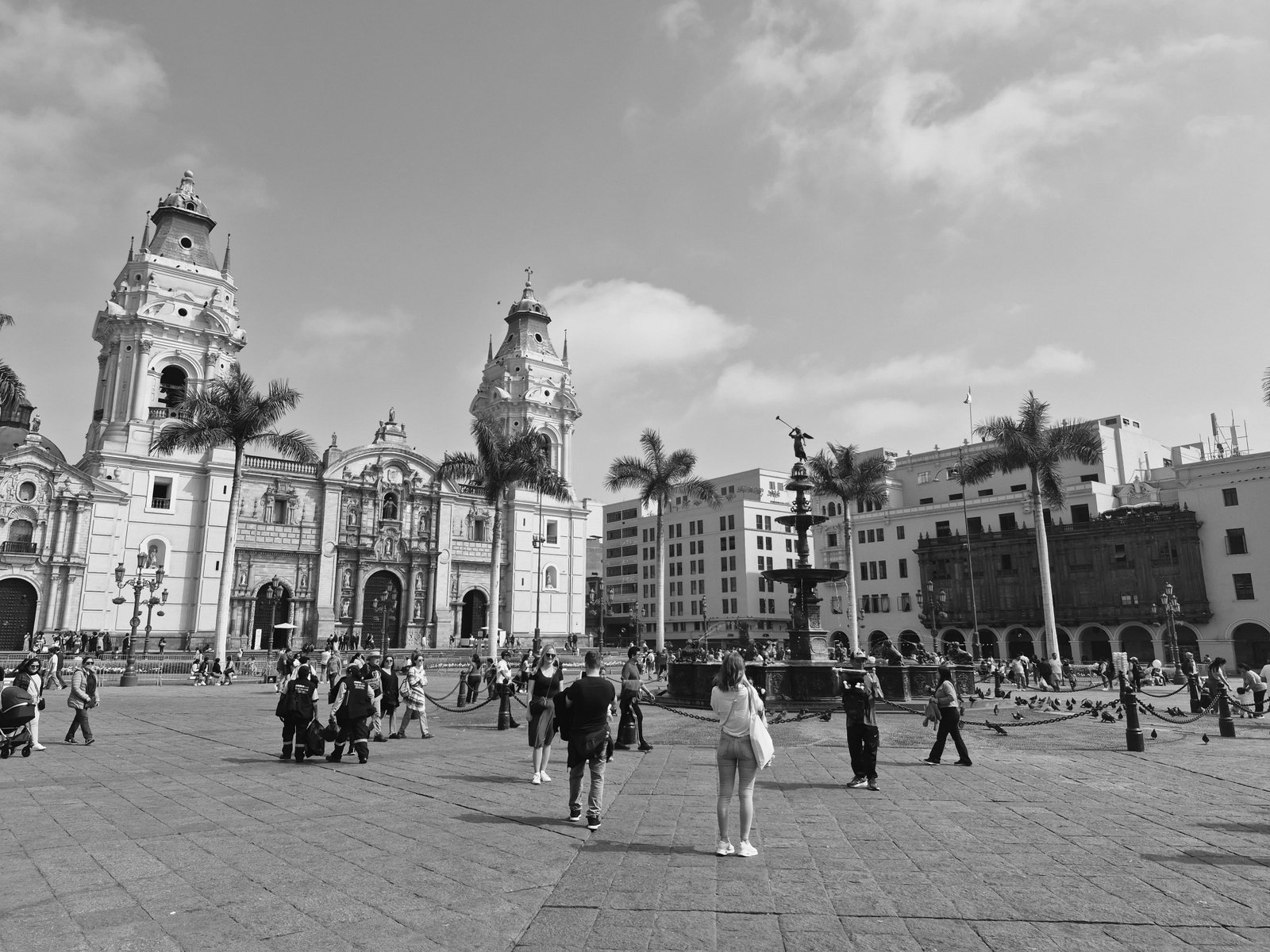 The Samsung S25 FE camera lets you customize the filters, but black and white is a must-have classic. 