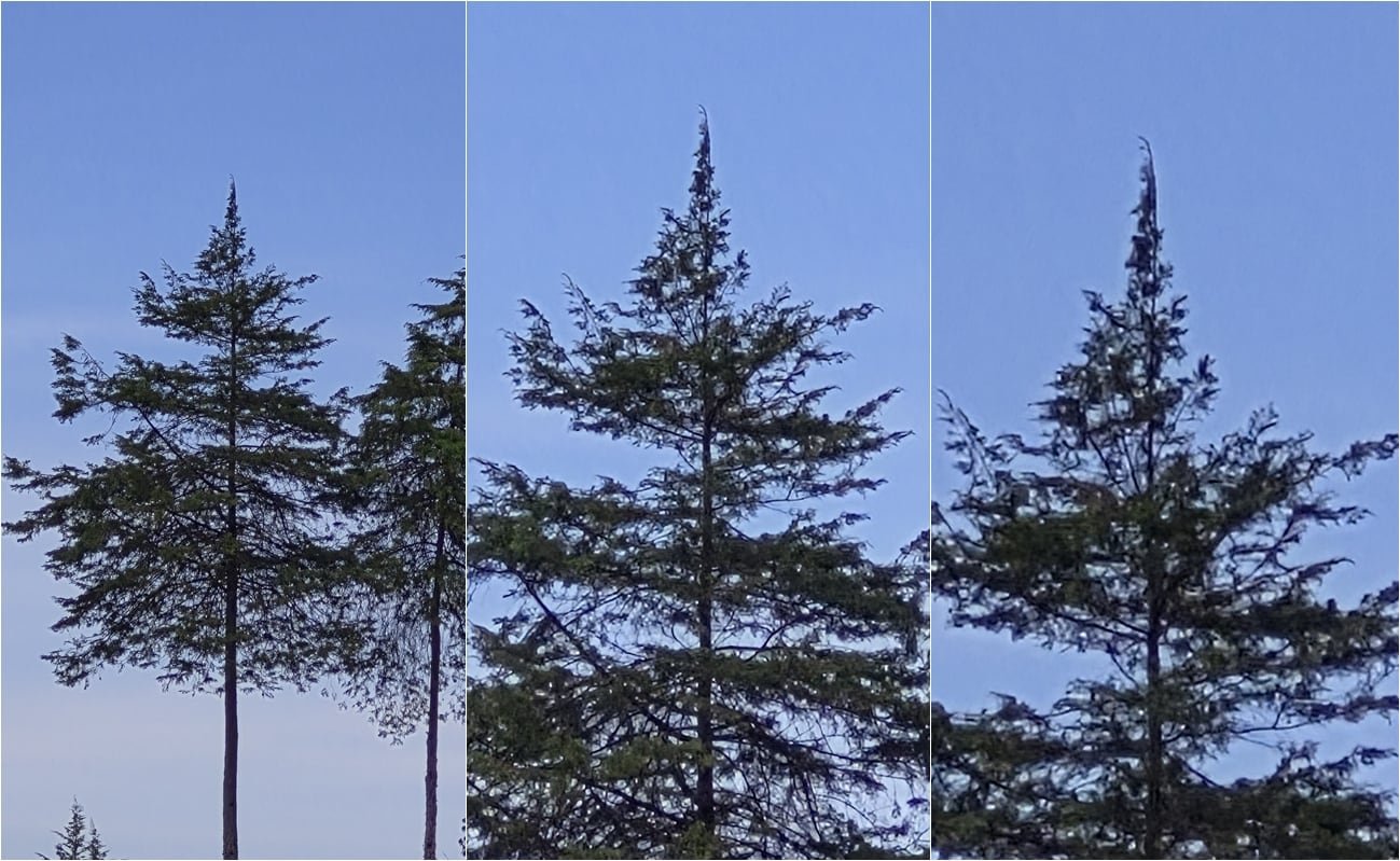 It's a progression of 10X, 20X and 30X where you can see some distortion at the end, but it's still an acceptable photo.
