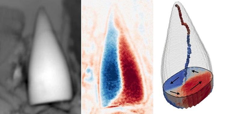 This tiny magnetic fossil is actually the navigation organ of an unknown animal.